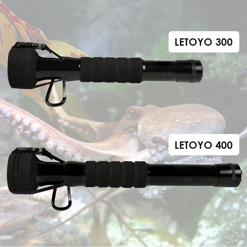 Squid Hook Anchor Hook Cuttlef - Fishing Boat Anchor ulasan dan harga
